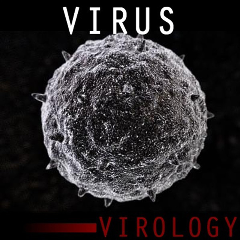 Virus 病毒