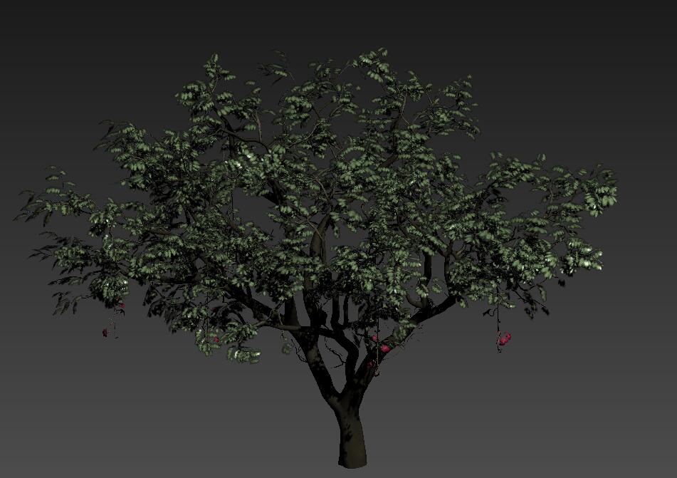 Evermotion Archmode 植物 树