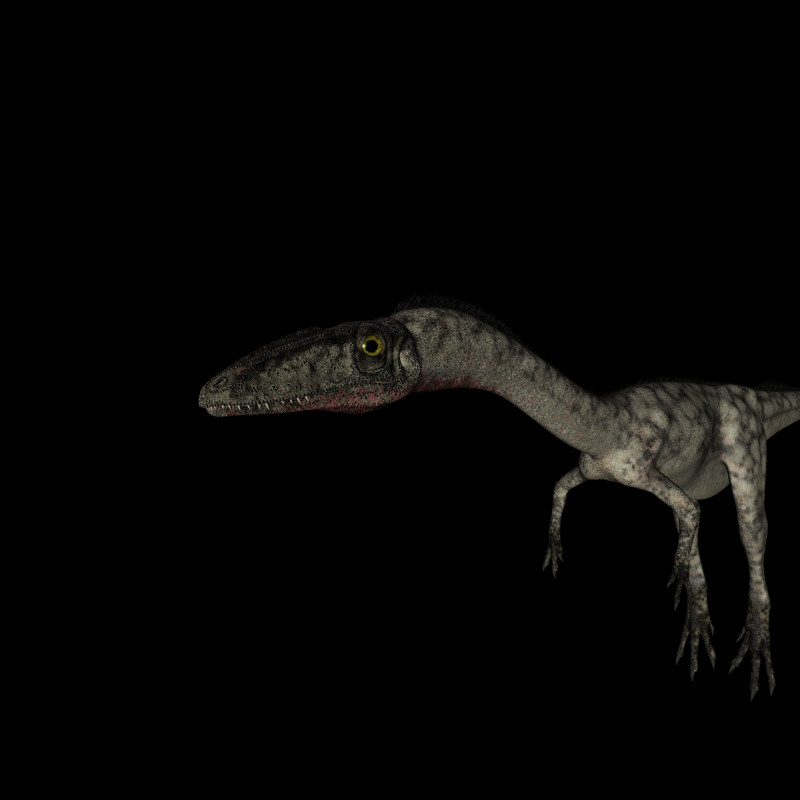 侏罗纪强势来袭 史前恐龙系列 腔骨龙
