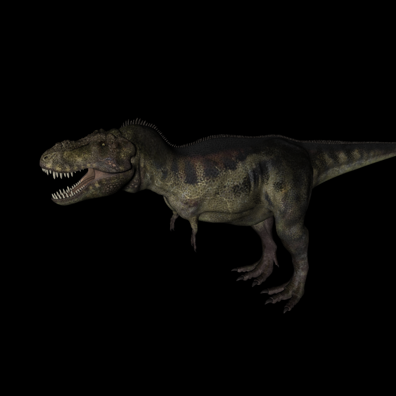 侏罗纪强势来袭 史前恐龙系列 霸王龙