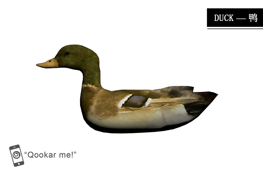 鸭子 duck