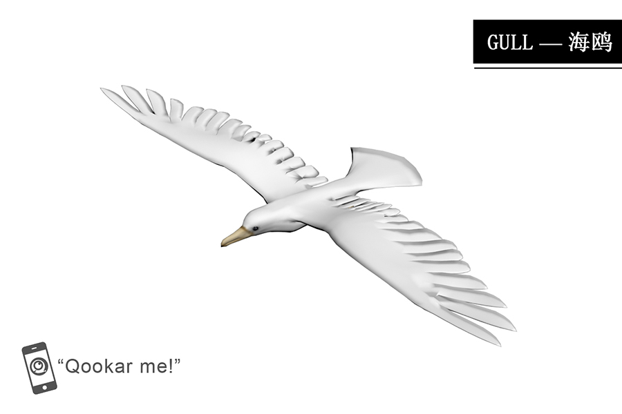 海鸥 gull
