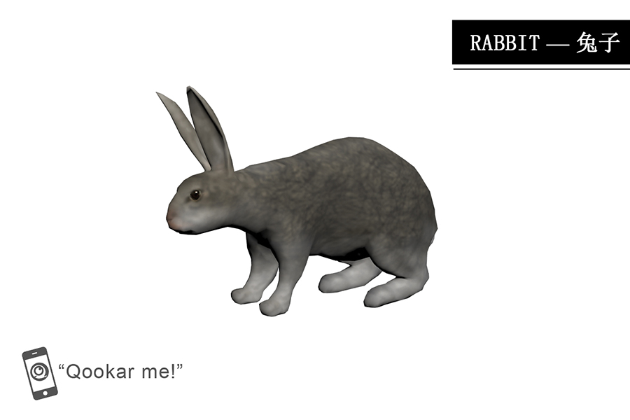 兔子 rabbit