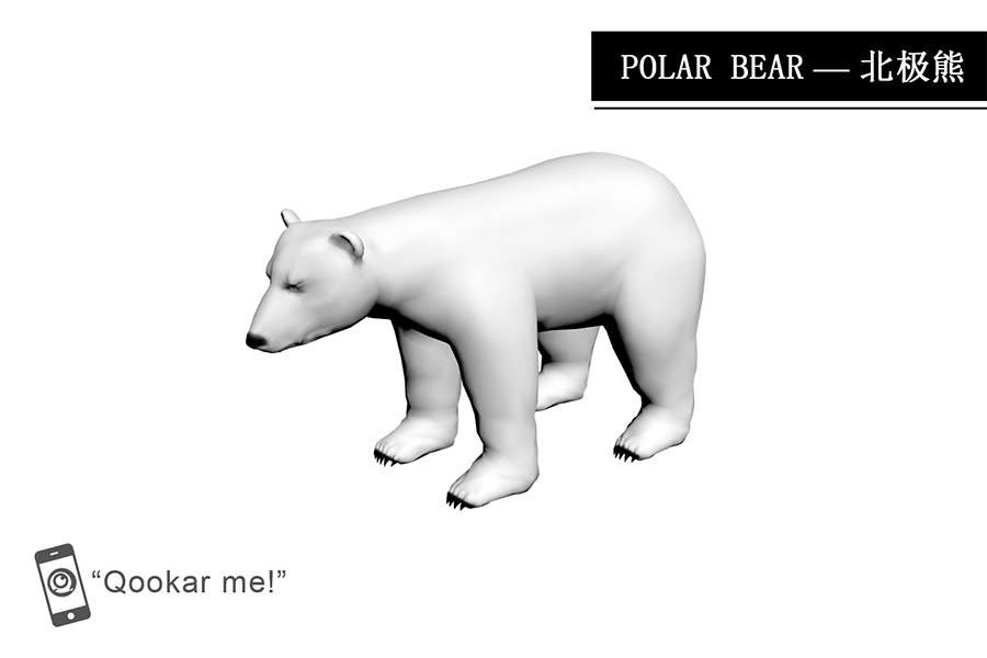 北极熊 Polar bear