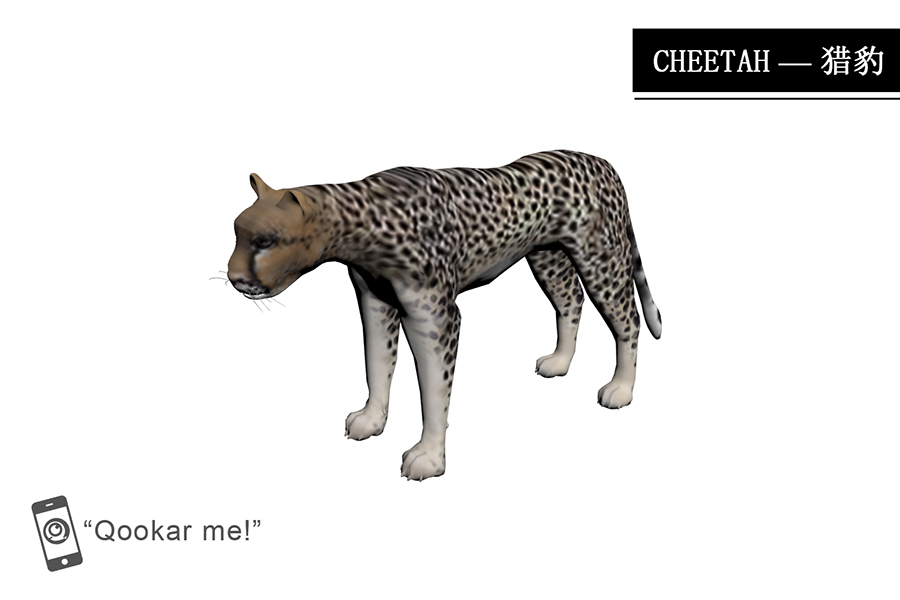 猎豹 cheetah