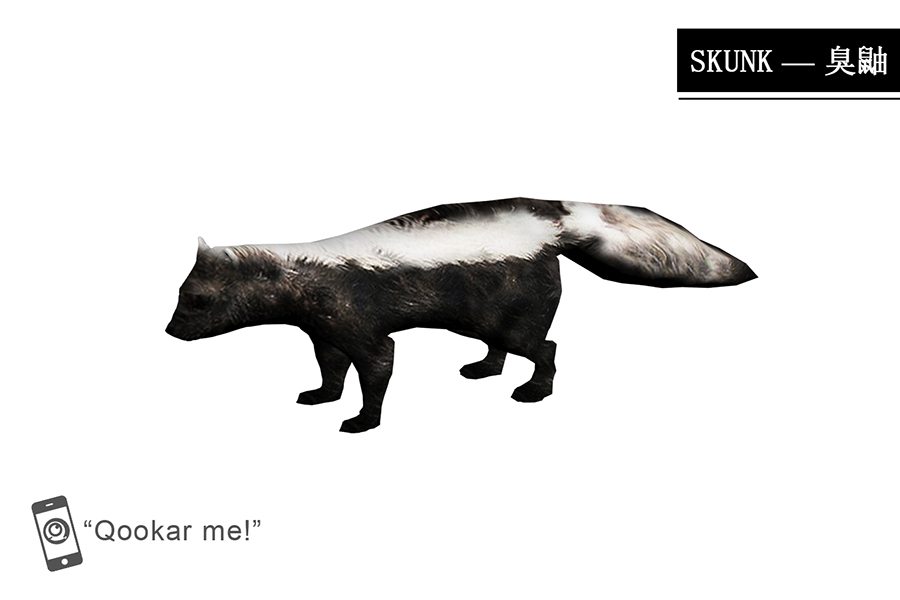 臭鼬 skunk